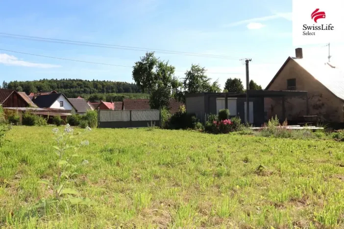 Prodej pozemku pro bydlení, Horní Cerekev - Těšenov, 3877 m2