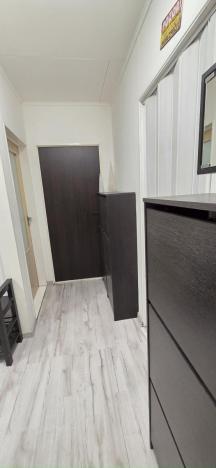 Prodej bytu 3+1, Česká Ves, Haškova, 66 m2