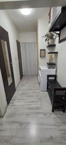 Prodej bytu 3+1, Česká Ves, Haškova, 66 m2