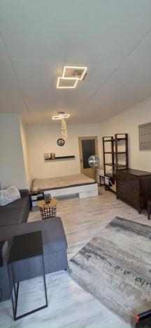 Prodej bytu 3+1, Česká Ves, Haškova, 66 m2