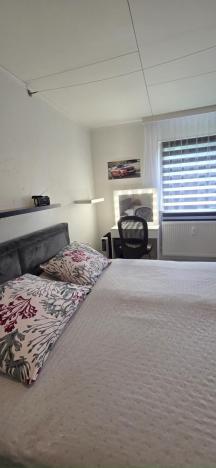 Prodej bytu 3+1, Česká Ves, Haškova, 66 m2