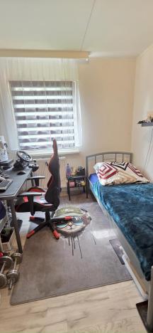 Prodej bytu 3+1, Česká Ves, Haškova, 66 m2