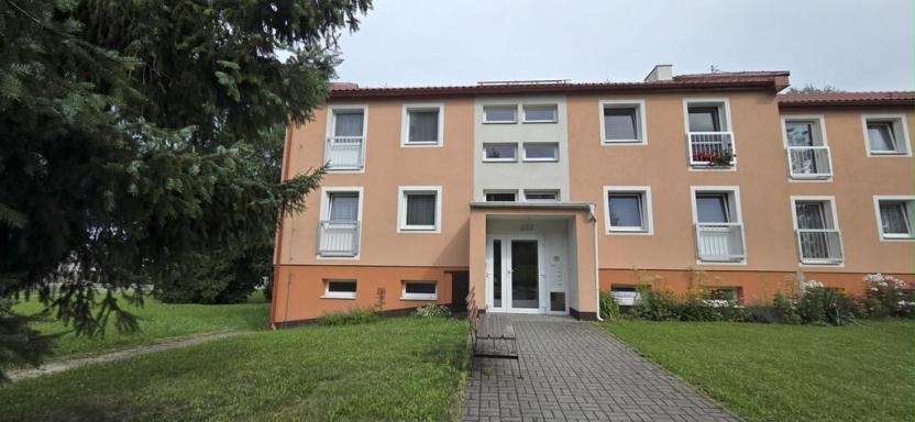 Prodej bytu 3+1, Česká Ves, Haškova, 66 m2