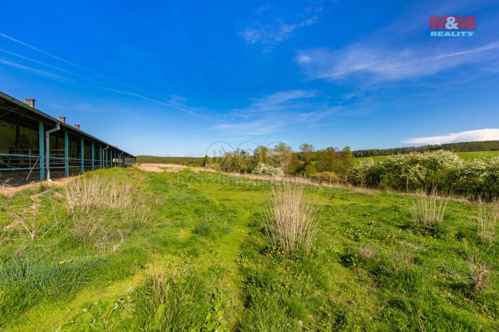 Prodej zemědělského objektu, Černovice, 4026 m2