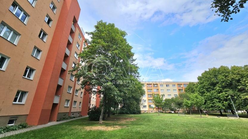 Pronájem bytu 2+1, Praha - Břevnov, Bubeníčkova, 52 m2