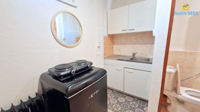 Pronájem bytu 1+kk, Praha - Malešice, Nad úžlabinou, 15 m2