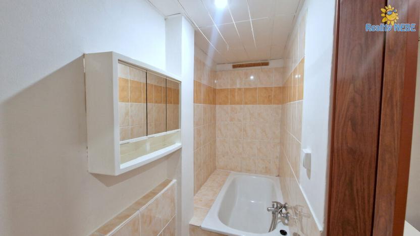 Pronájem bytu 1+kk, Praha - Malešice, Nad úžlabinou, 15 m2