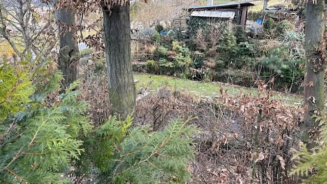 Prodej pozemku pro bydlení, Háj ve Slezsku, Pod Lesem, 693 m2