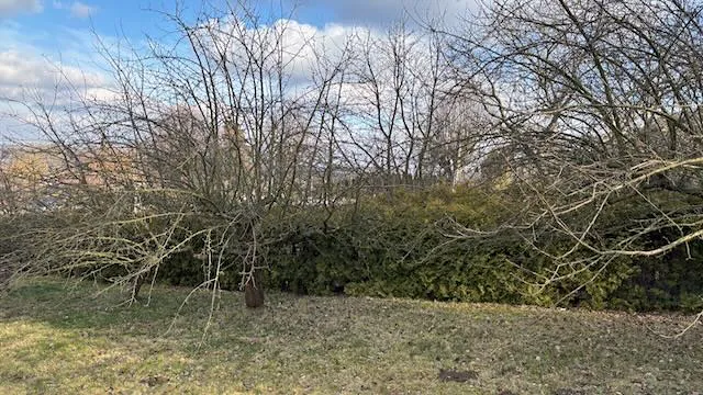 Prodej pozemku pro bydlení, Háj ve Slezsku, Pod Lesem, 693 m2