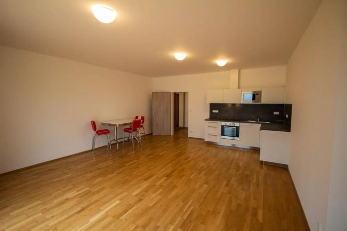 Pronájem bytu 1+kk, Olšany, 45 m2
