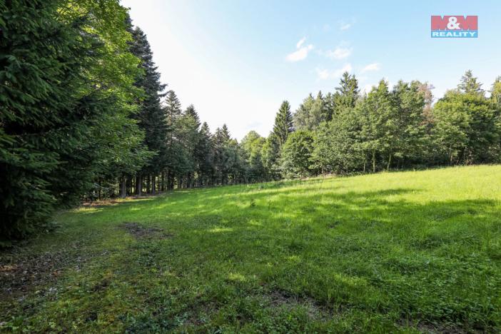 Prodej lesa, Petrovice u Sušice - Maršovice, 15707 m2