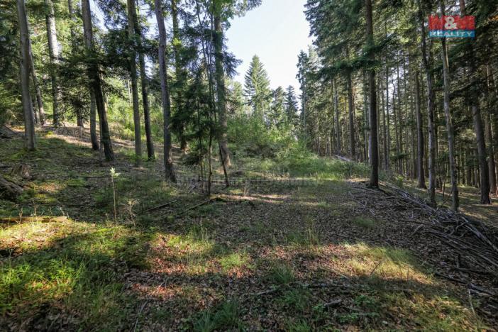 Prodej lesa, Petrovice u Sušice - Maršovice, 15707 m2