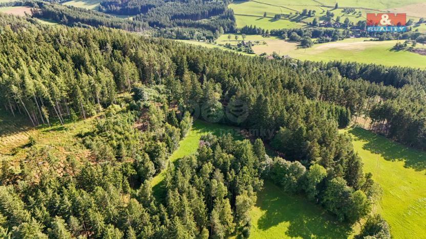 Prodej lesa, Petrovice u Sušice - Maršovice, 15707 m2