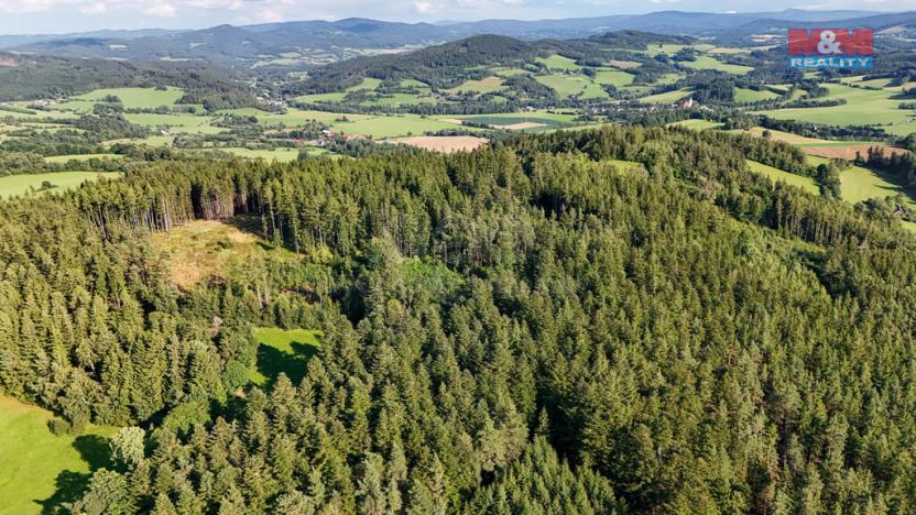 Prodej lesa, Petrovice u Sušice - Maršovice, 15707 m2