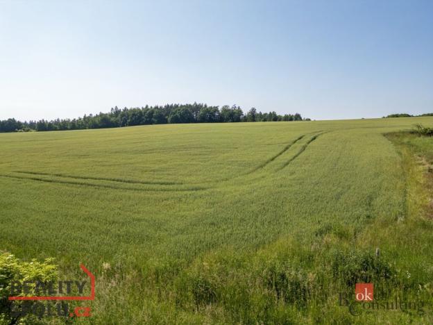 Prodej pozemku pro bydlení, Letovice, 5460 m2