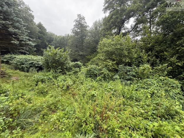 Prodej chaty, Ústí nad Labem - Sebuzín, 35 m2