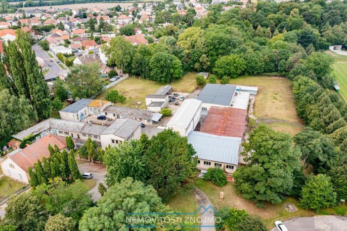Pronájem výrobních prostor, Hrušovany nad Jevišovkou, Rudé armády, 12000 m2