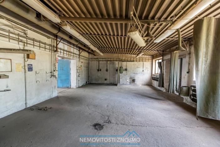 Pronájem výrobních prostor, Hrušovany nad Jevišovkou, Rudé armády, 12000 m2