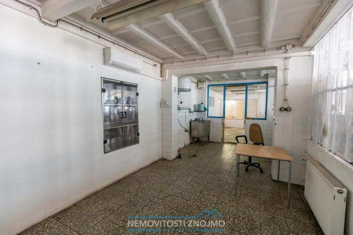 Pronájem výrobních prostor, Hrušovany nad Jevišovkou, Rudé armády, 12000 m2