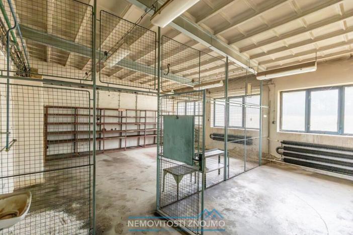 Pronájem výrobních prostor, Hrušovany nad Jevišovkou, Rudé armády, 12000 m2