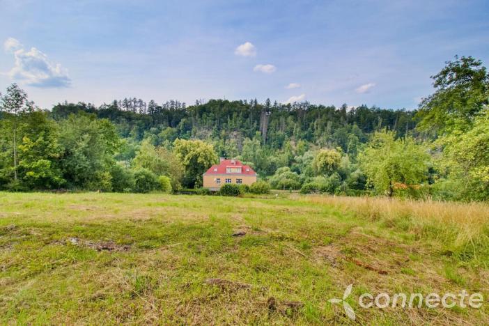 Prodej pozemku, Český Šternberk, 2000 m2