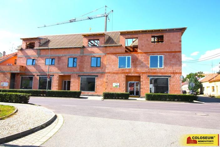 Prodej bytu 1+kk, Hrušovany nad Jevišovkou, 41 m2