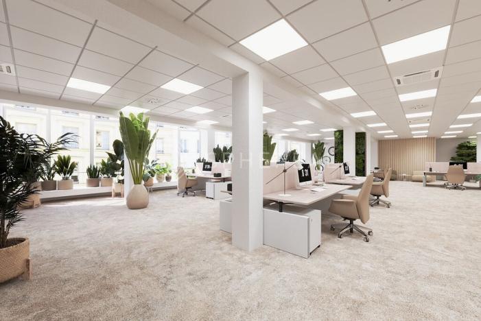 Pronájem kanceláře, Brno - Brno-město, Masarykova, 505 m2