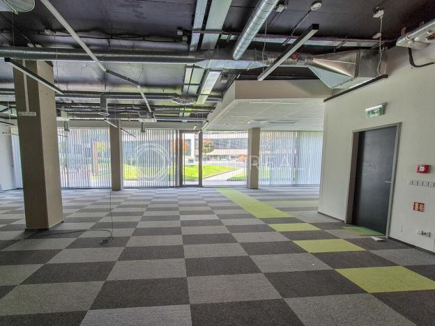 Pronájem kanceláře, Brno - Staré Brno, Nové sady, 400 m2