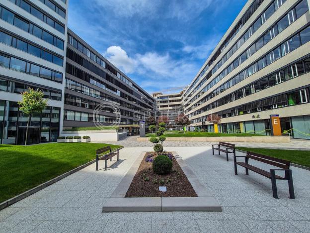 Pronájem kanceláře, Brno - Staré Brno, Nové sady, 400 m2