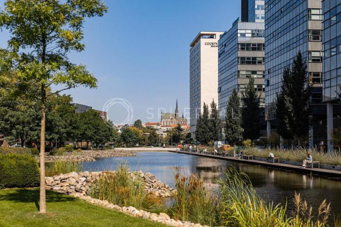 Pronájem kanceláře, Brno - Štýřice, Holandská, 527 m2