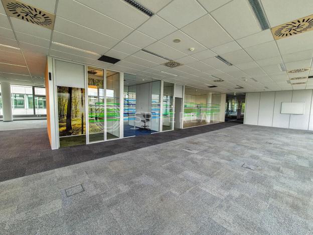 Pronájem kanceláře, Brno - Královo Pole, Technická, 4000 m2