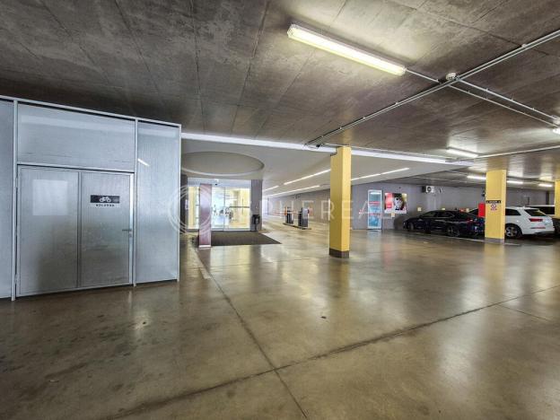 Pronájem kanceláře, Brno - Žabovřesky, Veveří, 221 m2