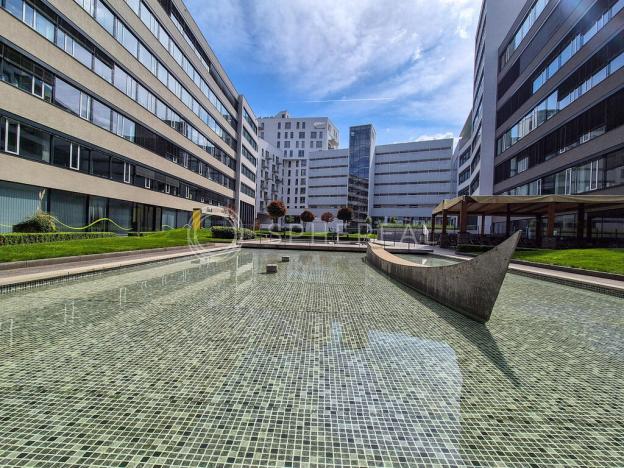 Pronájem obchodního prostoru, Brno - Staré Brno, Nové sady, 310 m2