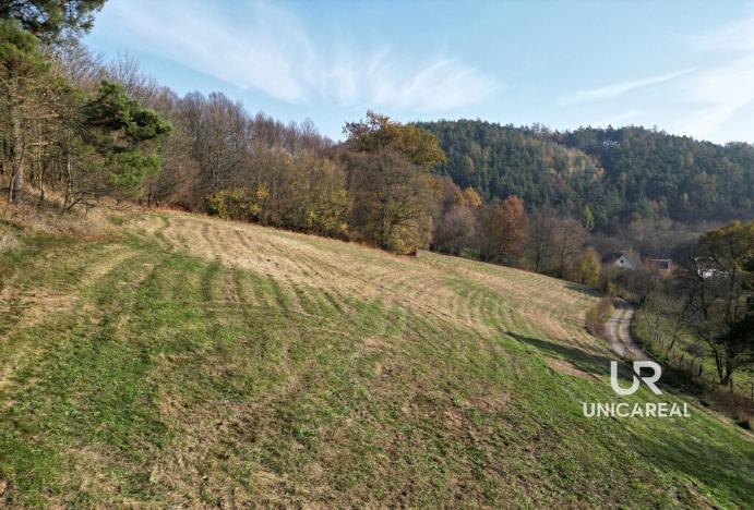 Prodej pozemku, Letovice, 2184 m2