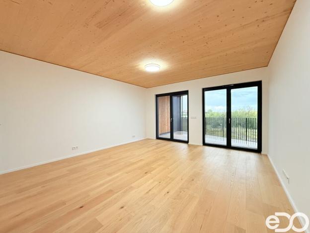Pronájem bytu 1+kk, Praha, Nekonečného, 42 m2