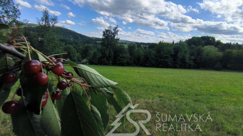 Prodej pozemku, Sušice - Záluží, 3500 m2