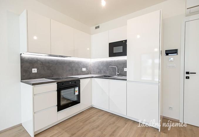 Pronájem bytu 1+kk, Praha - Žižkov, Malešická, 45 m2