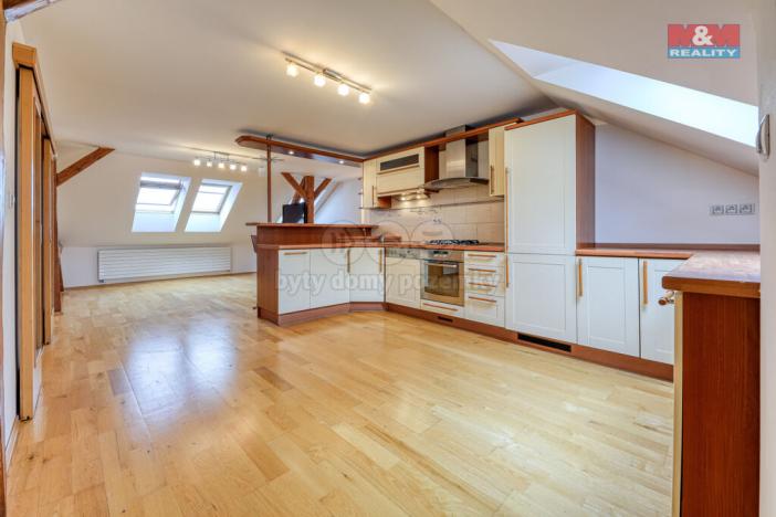 Pronájem bytu 4+kk, Plzeň - Východní Předměstí, Úslavská, 140 m2
