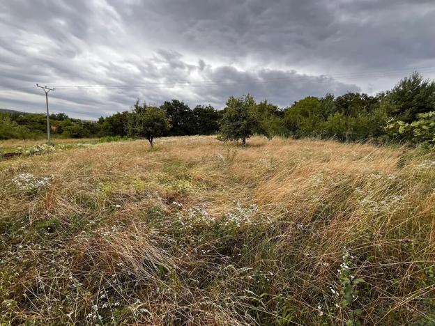 Prodej zahrady, Oslavany, 3447 m2