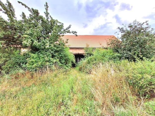 Prodej zemědělské usedlosti, Kolešov, 500 m2