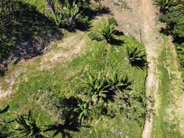 Prodej pozemku, Coxen Hole, Roatán, Honduras, 350 m2