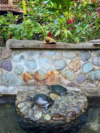 Prodej rodinného domu, La Ceiba, Honduras, 4080 m2