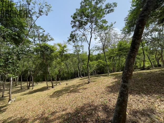 Prodej pozemku, Coxen Hole, Roatán, Honduras, 1884 m2