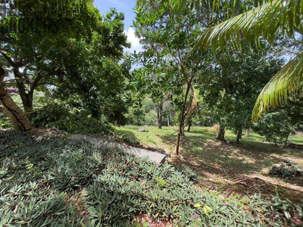 Prodej pozemku, Coxen Hole, Roatán, Honduras, 1872 m2