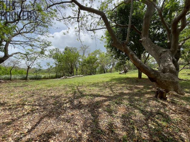 Prodej pozemku, Coxen Hole, Roatán, Honduras, 1821 m2