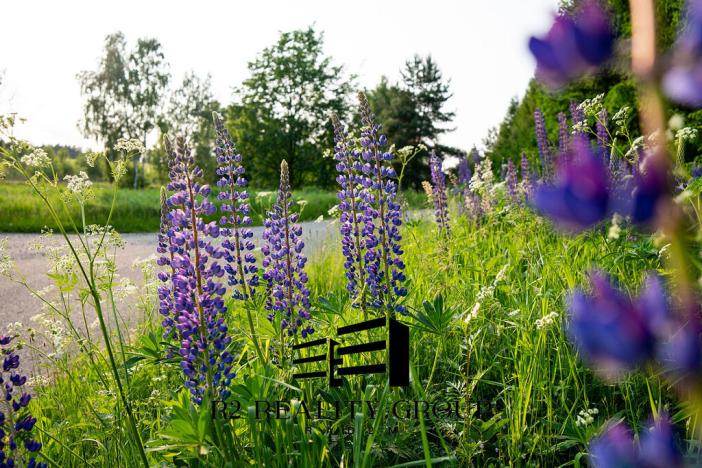 Prodej pozemku, Skřípov, 640 m2