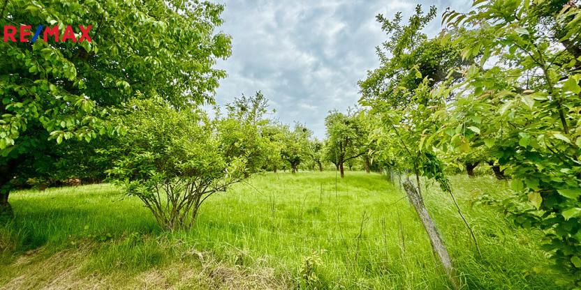 Prodej pozemku, Odry, 8311 m2