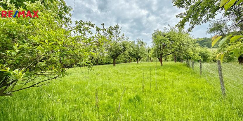 Prodej pozemku, Odry, 8311 m2