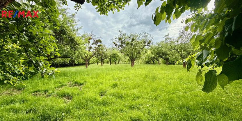 Prodej pozemku, Odry, 8311 m2