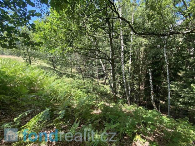 Prodej pozemku, Chřibská, 19951 m2